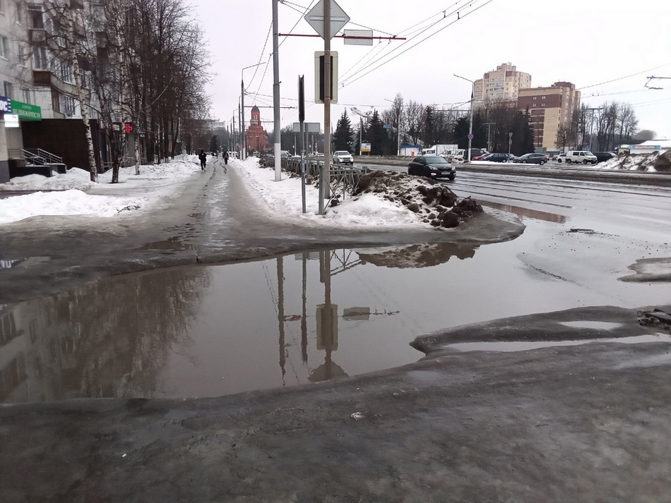 В последний день февраля в Брянской области ожидается дождь и до +7ºC