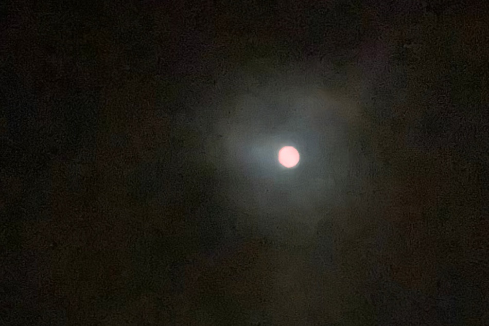 В ночь на 26 января брянцы наблюдали «волчью луну»