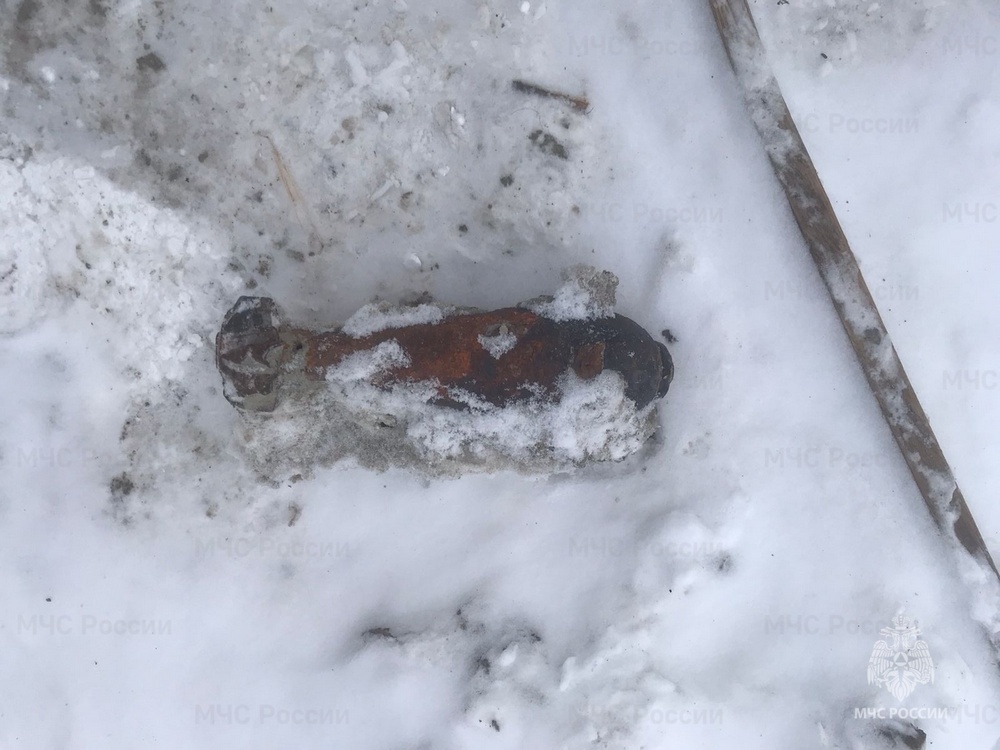 Из-под снега в Выгоничском районе выглянули мина и граната