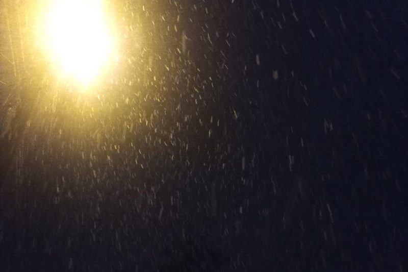 В ночь на 13 января в Брянской области ожидается снег и до -24ºC