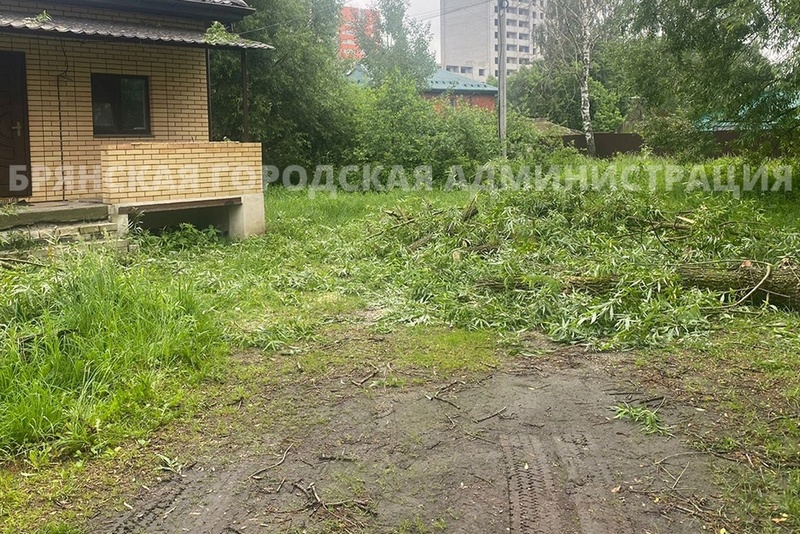 В Дятьковском районе прошел разрушительный ливень с градом