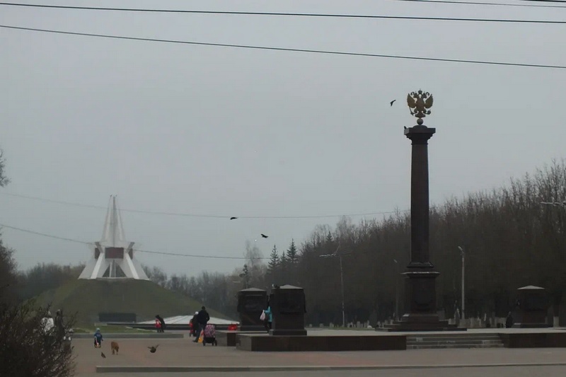 Обрыв в брянской роще «Соловьи» обнесли сеткой