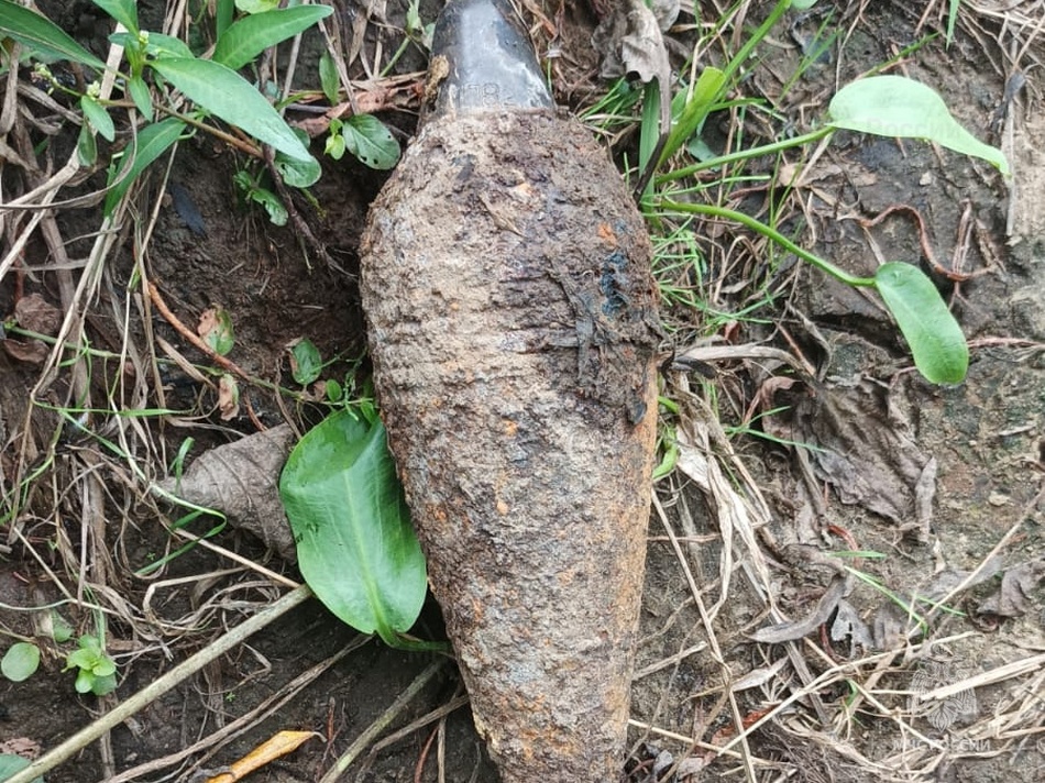 В лесу под Жуковкой обнаружили старую и все еще опасную мину