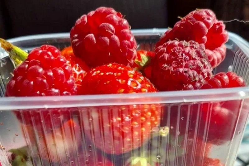 Брянцам сообщили о возможном росте цен на фрукты и ягоды из-за жары