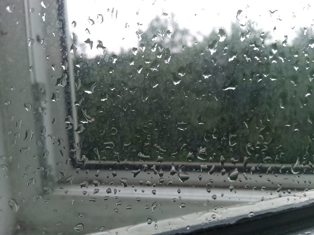 Дождливая погода не отпустит Брянскую область до конца июня