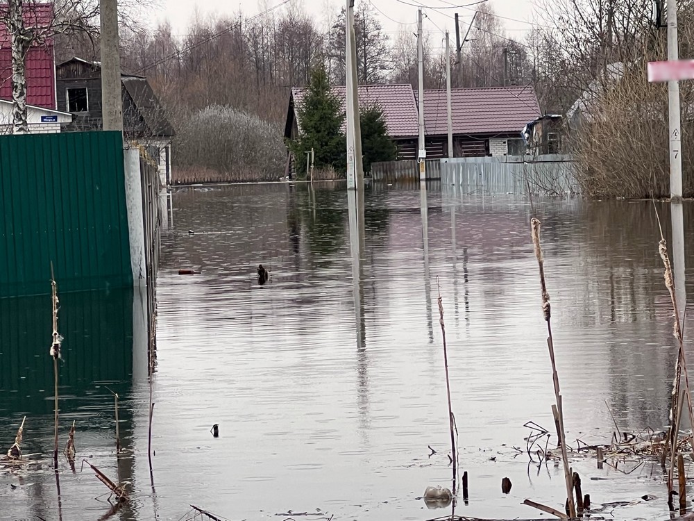 В Брянской области затоплены 336 приусадебных участков