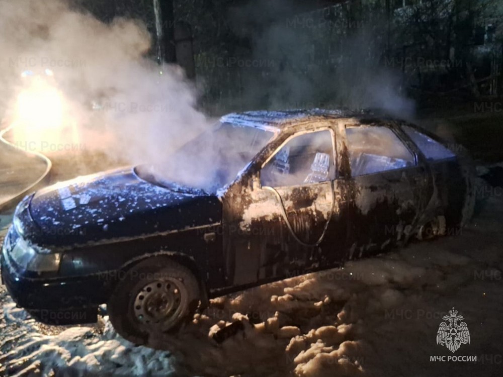 Ночью в Брасовском районе сгорел автомобиль