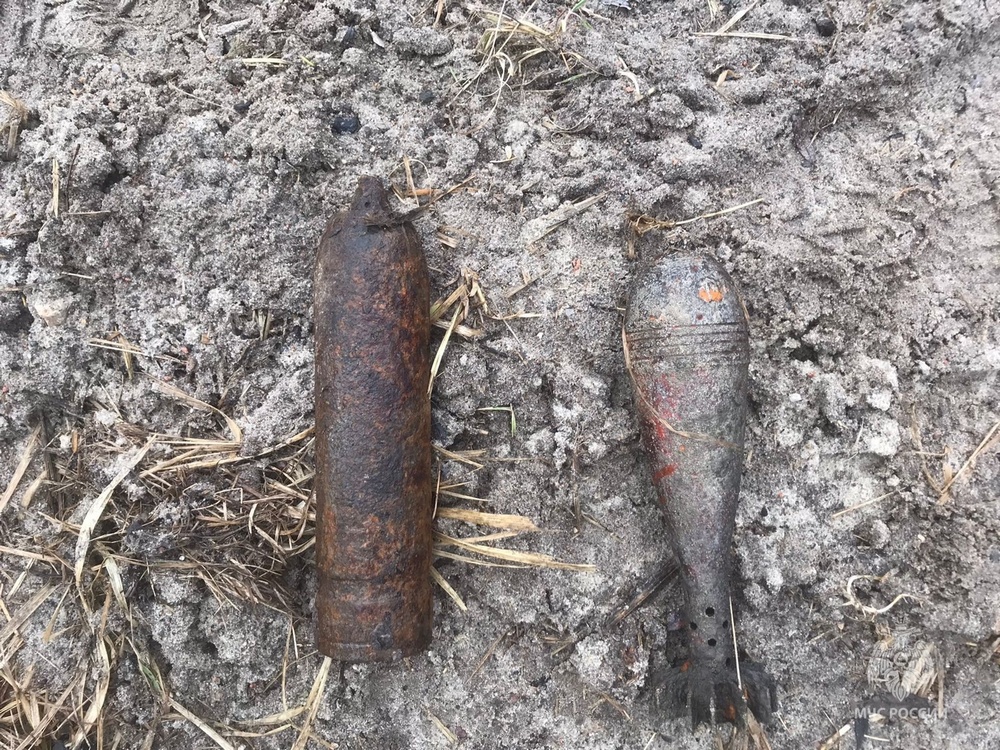 Из-под снега в Брянском районе показались ржавые снаряд и мина