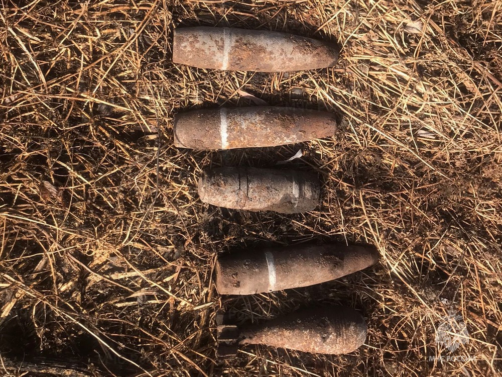 Под Севском нашли изъеденные ржавчиной снаряды и мину