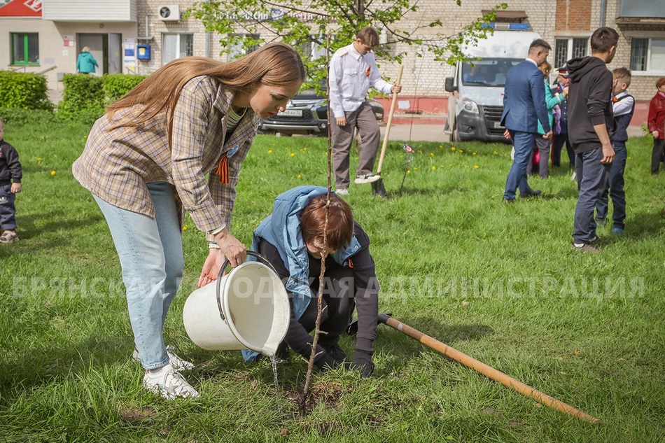 На пустыре в Фокинском районе Брянска посадили почти 30 деревьев и кустарников
