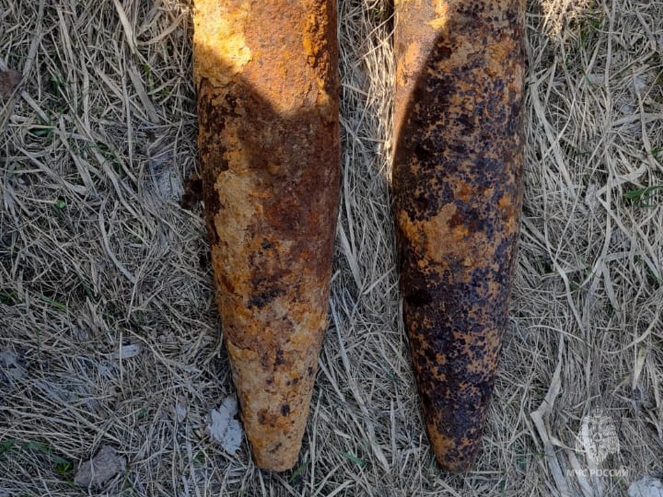 В лесу под Навлей нашли изрытые ржавчиной снаряды