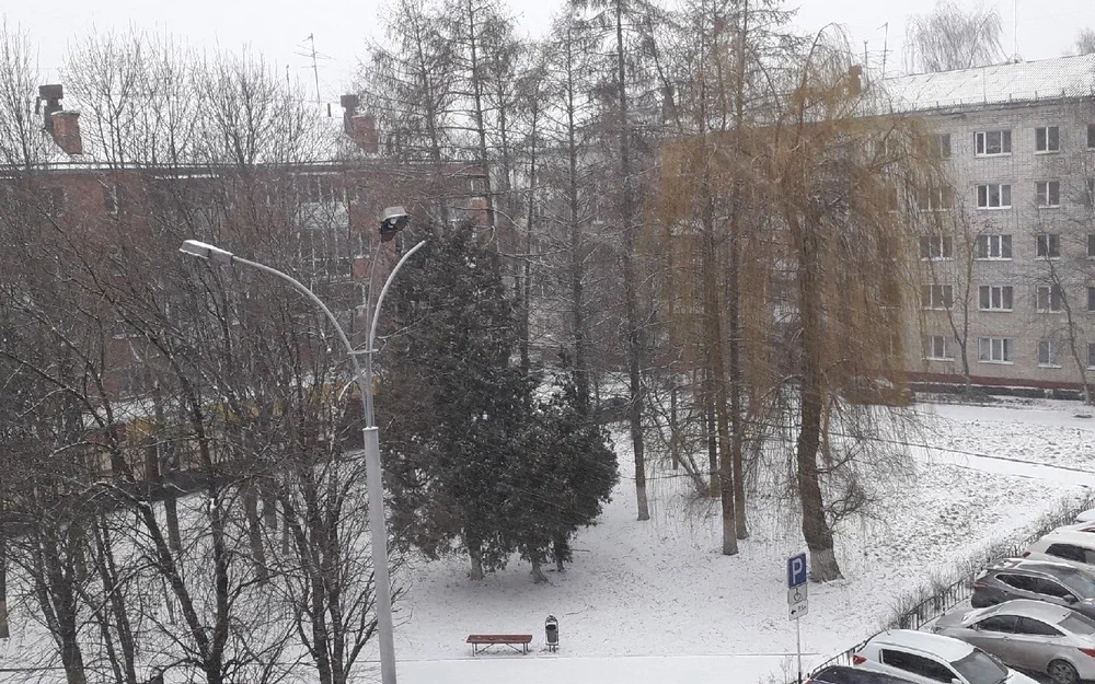 В Брянске прошел мартовский снегопад