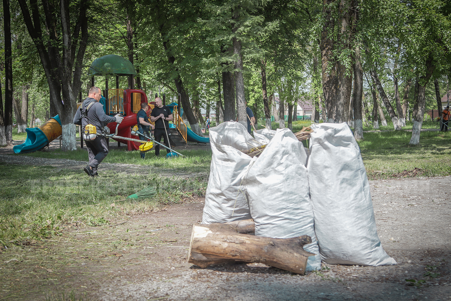 Брянск избавили от травы и сорняков в рамках акции Чистый Город