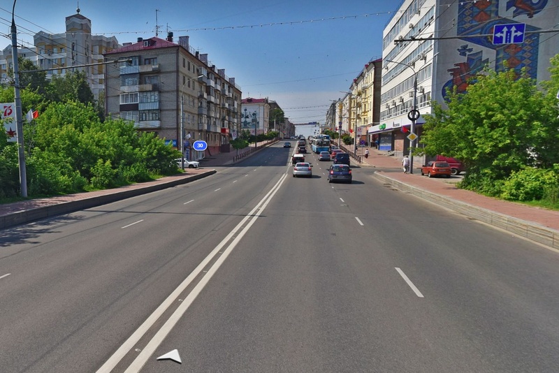 В центре Брянска сняли на видео утиное семейство, остановившее движение транспорта