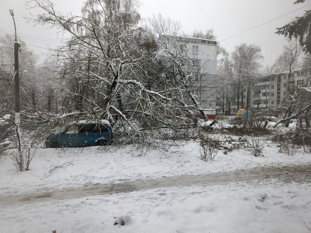 На Костычева в Брянске автомобили попали в снежно-древесный плен