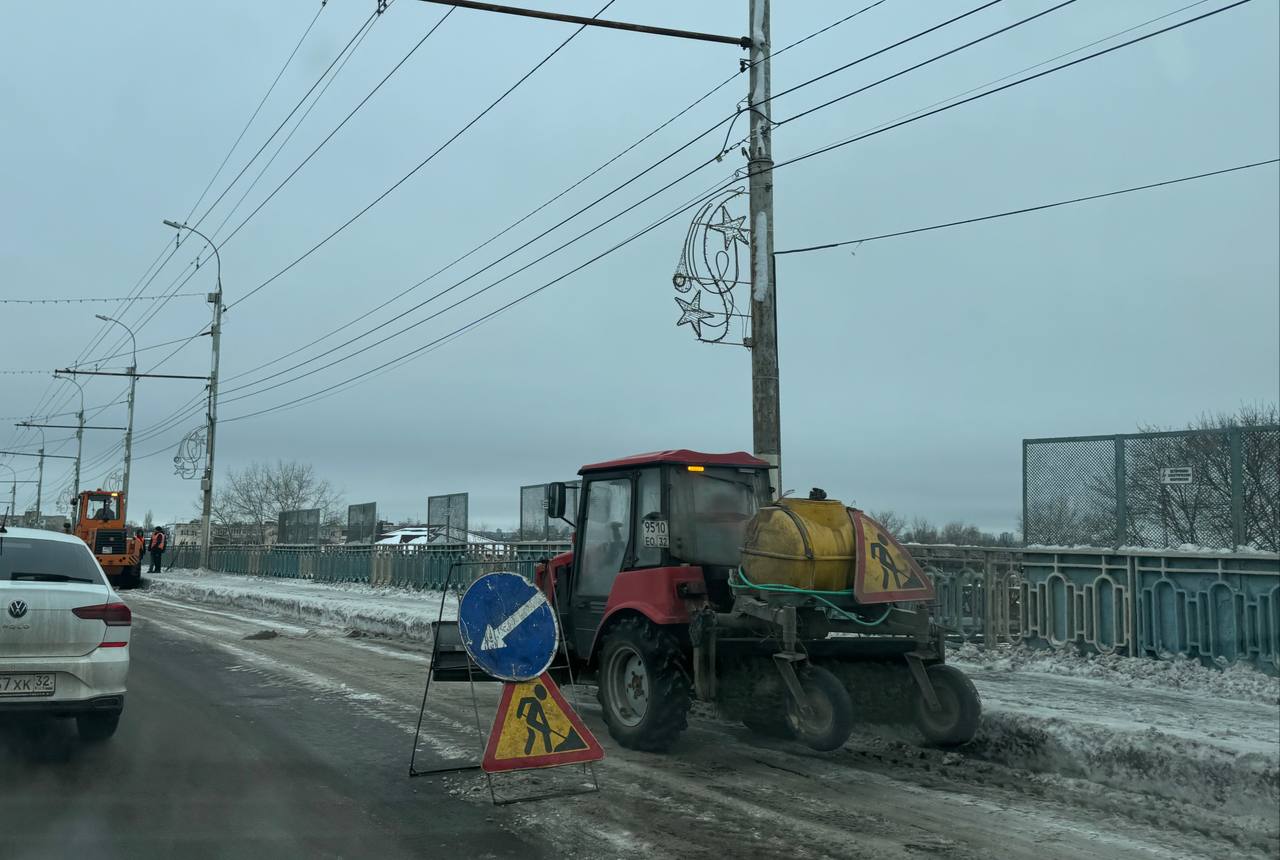 В Брянске убрали 64 дерева, упавшие из-за снегопада