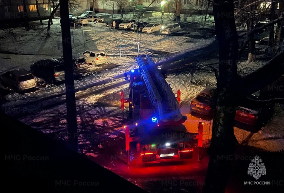 При пожаре в Фокинском районе Брянска погибли бабушка и внук