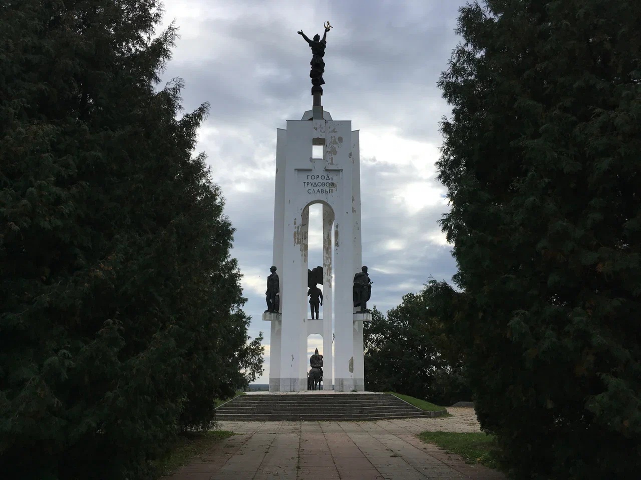 На Покровской Горе в Брянске спилят зараженные деревья