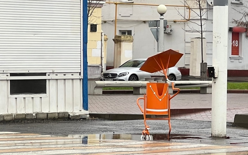 Человечки с оранжевыми зонтиками делают Брянск чище