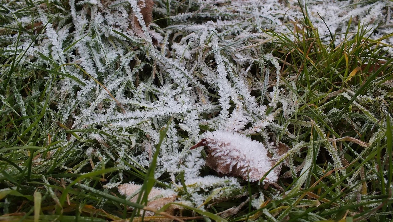 В ночь на пятницу в Брянской области похолодает до -1ºC