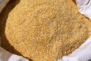 В Злынковском районе Брянской области предотвратили ввоз 26000 кг кукурузной дерти