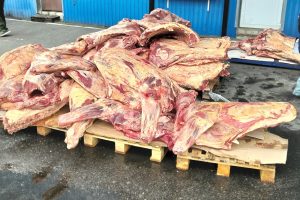 На Брянщине пресечён ввоз непроверенной говядины
