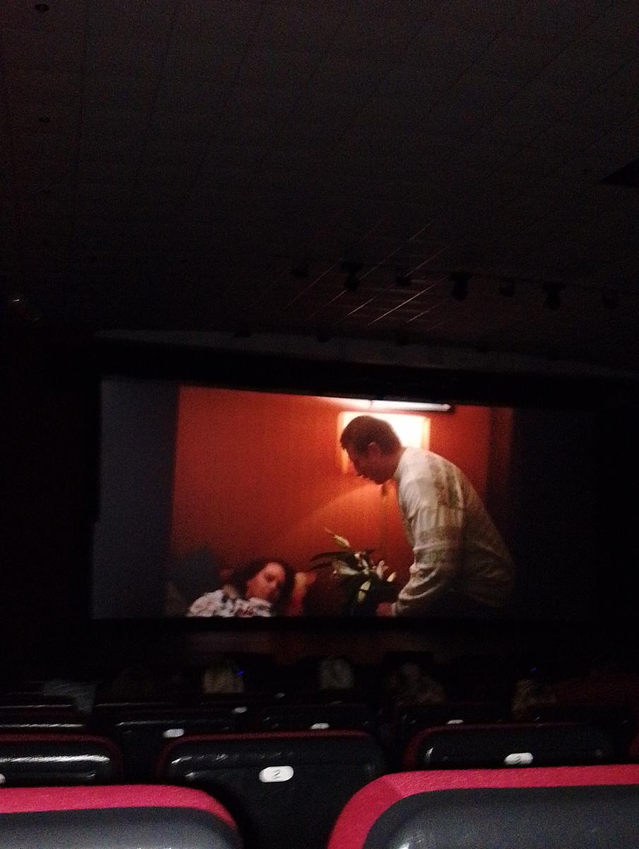 В Брянске бесплатно продемонстрировали фильм «Ниша»