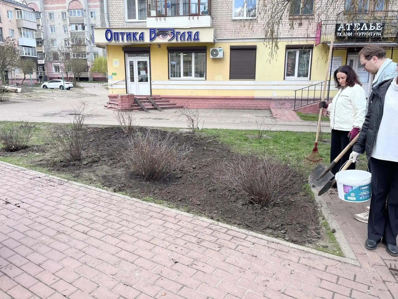 В Володарском районе Брянска сквер "Покорителям космоса" украсят цветущие спиреи