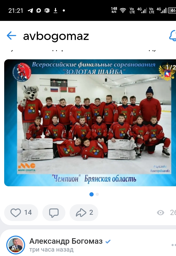 В День защитника Отечества почепские хоккеисты завоевали призы