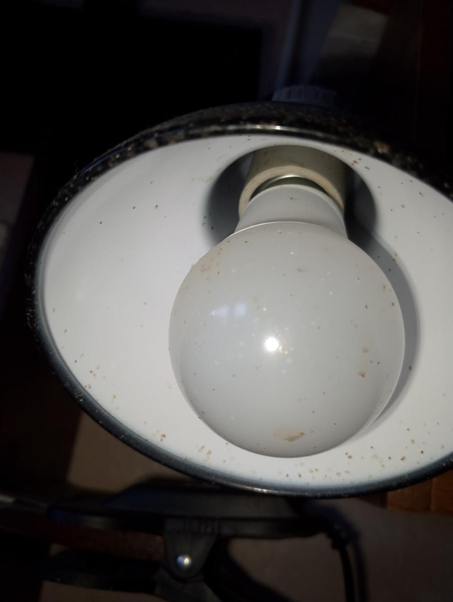 Восстановление энергоснабжения на Брянщине продолжается