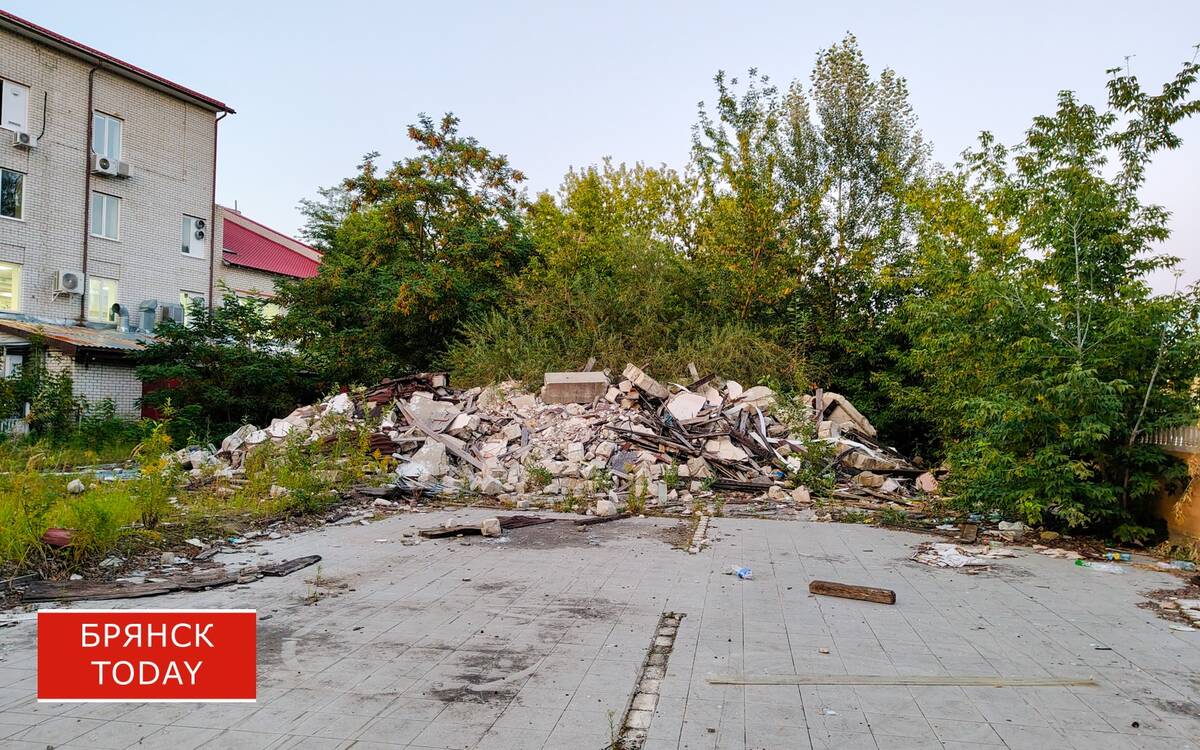 «Достопримечательность» Майского парка вызывает негодование у жителей Бежицкого района Брянска