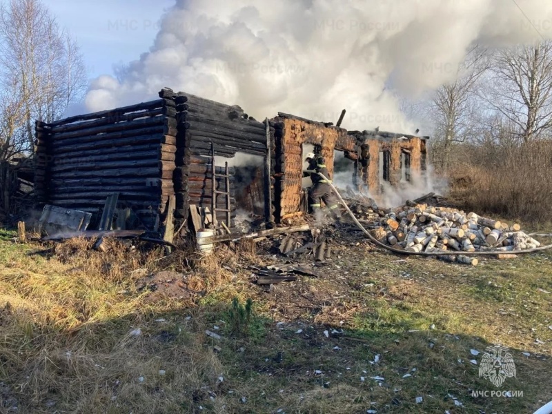 Вчера брянские пожарные и спасатели работали в Брасовском районе