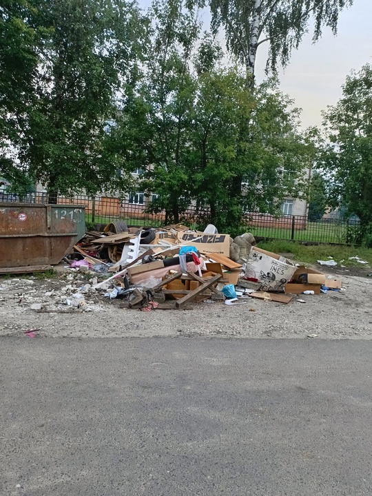 Бежицкий район Брянска тонет в мусорных завалах летом 2025 года