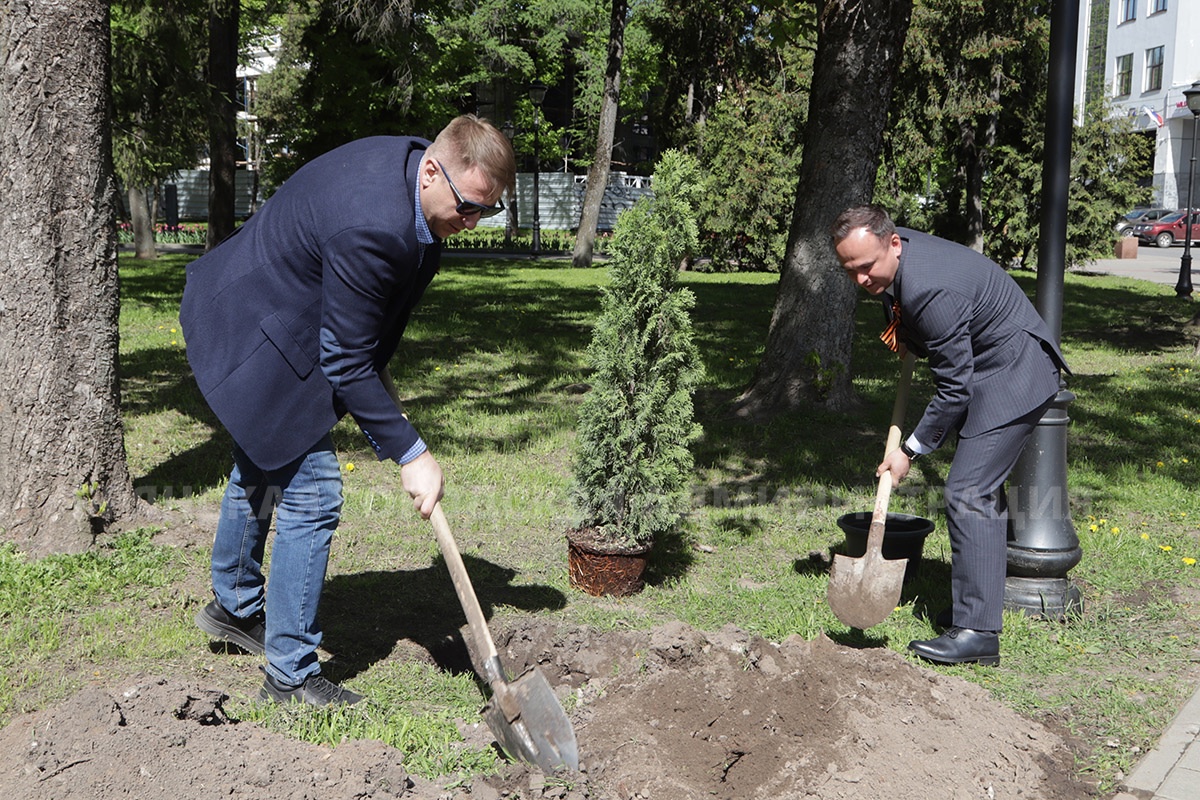 В брянском сквере имени Карла Маркса теперь появились молодые туи