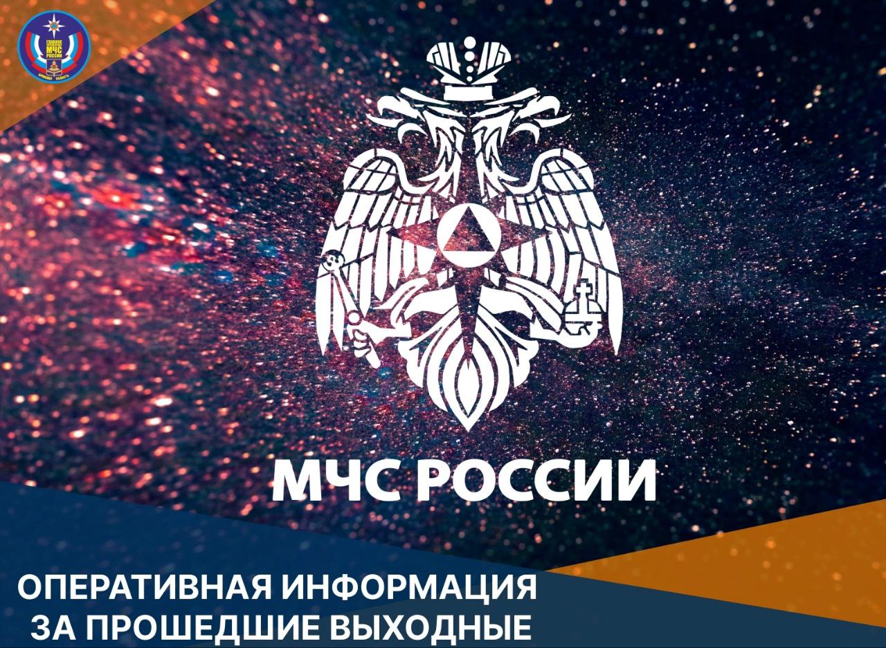 На Брянщине пожарные ликвидировали 17 пожаров в течение выходных
