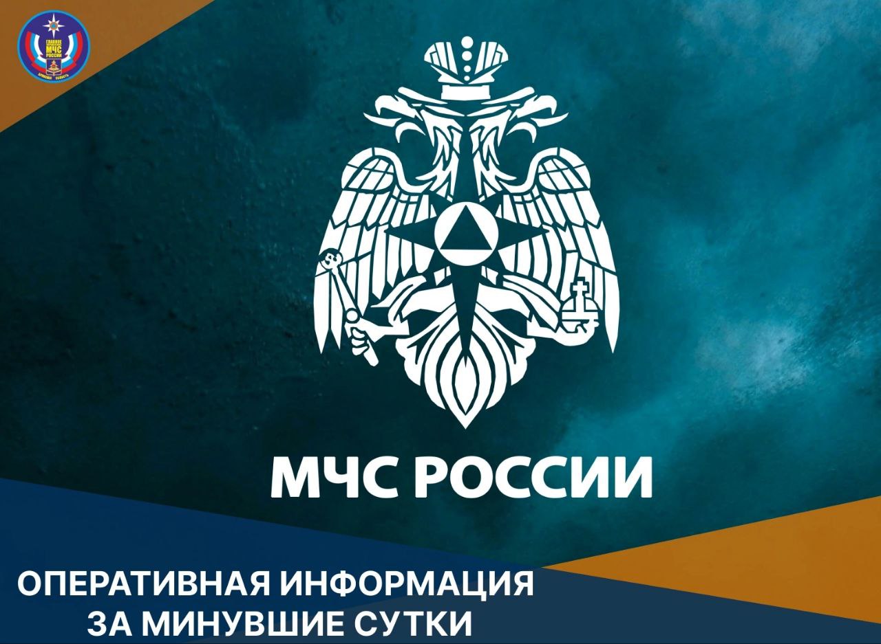 На Брянщине за 4 июня потушили 3 пожара