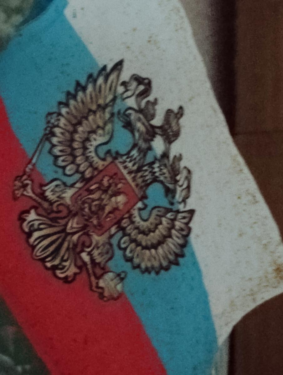 Сегодня брянцы отмечают День России