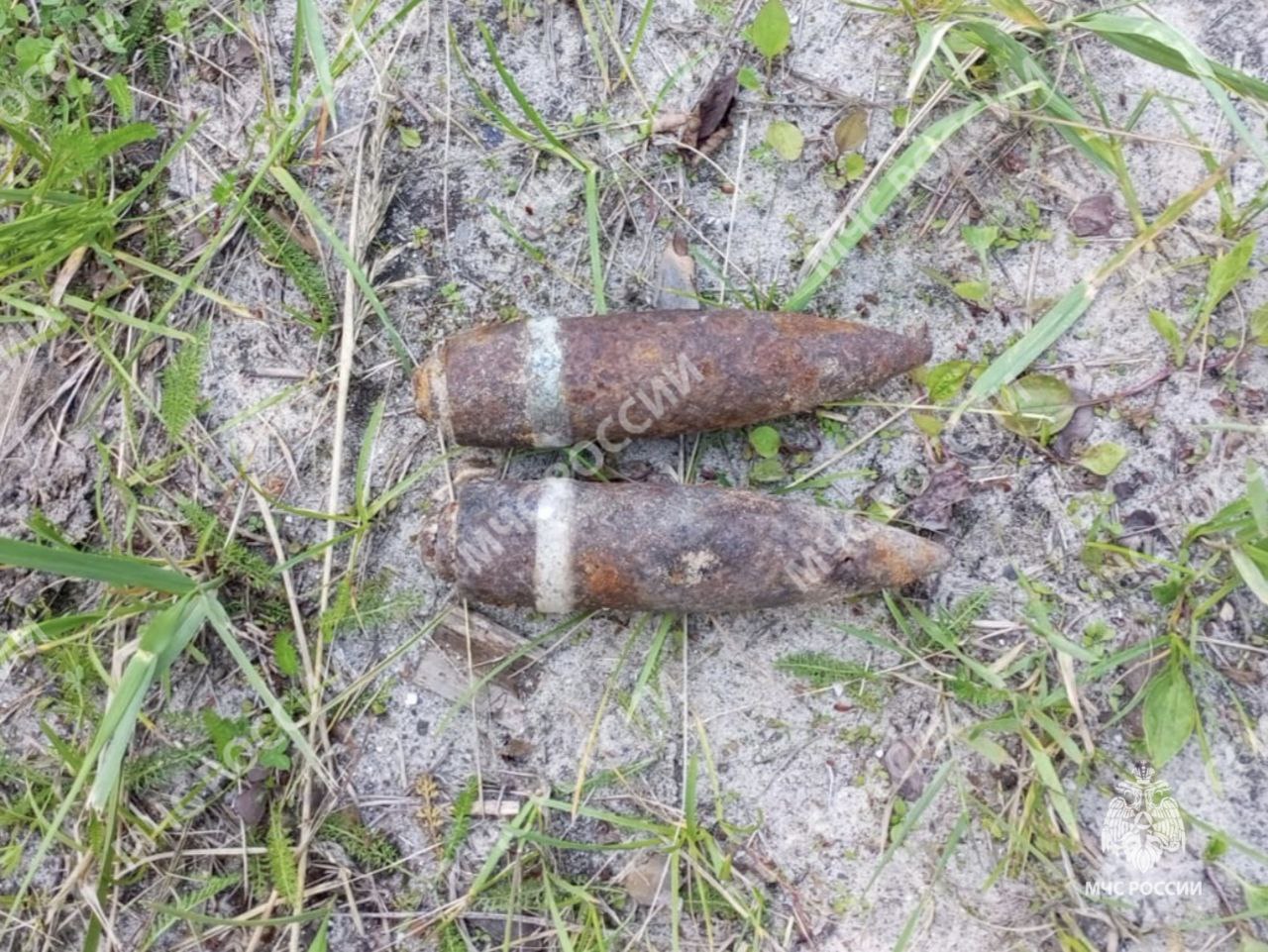 В двух районах Брянщины нашли старые боеприпасы 5 июля