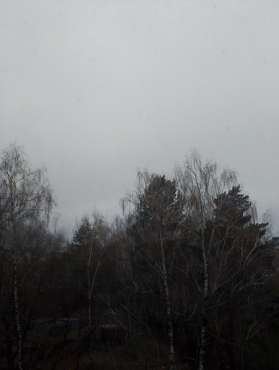 Сегодня брянцев ожидает туманная погода