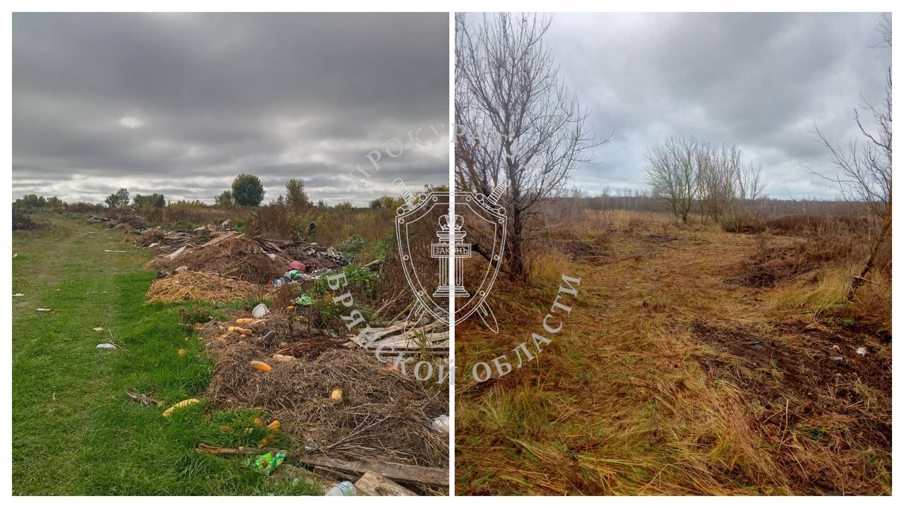 Благодаря вмешательству прокуратуры в Красногорском районе Брянщины убрали свалку