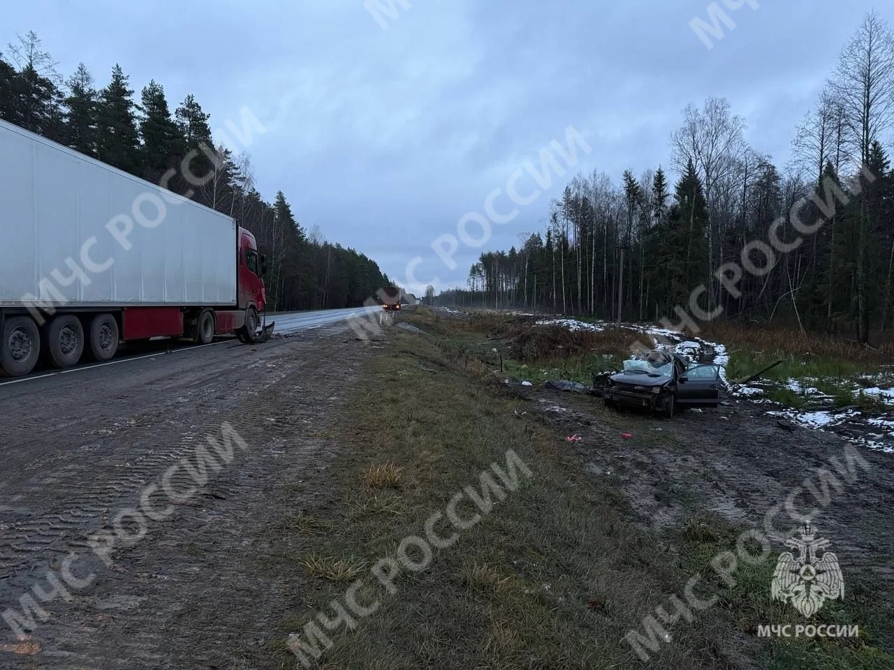 Авария вблизи брянского посёлка Свень унесла жизнь шофёра легковушки