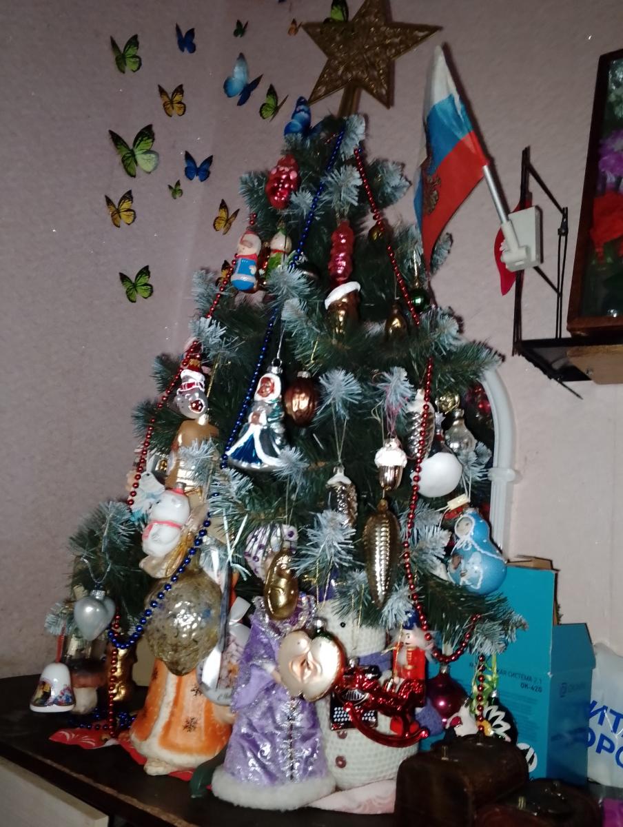 В новогодние праздники брянцев ожидают ограничения