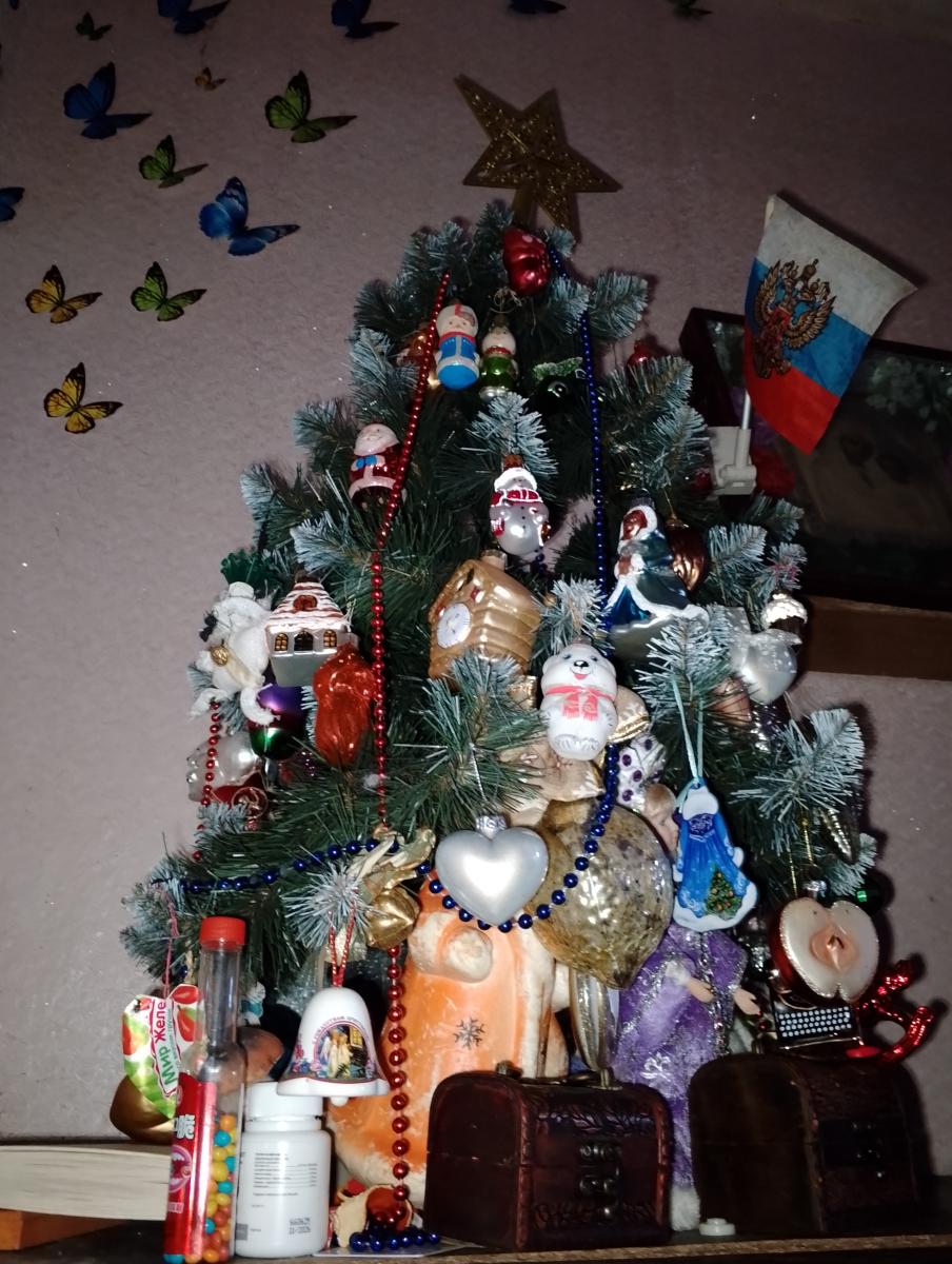 Брянцам напоминают о необходимости правильно утилизировать ёлки