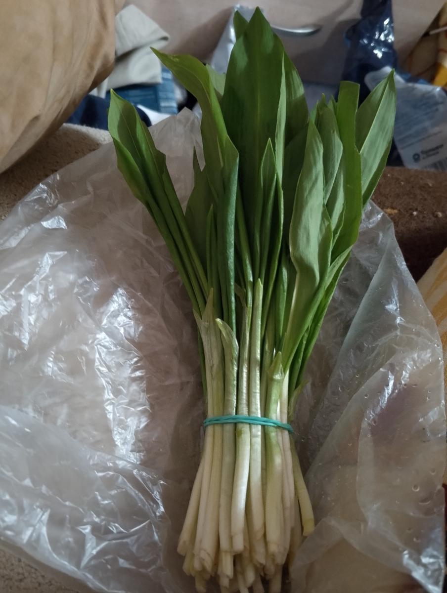 Пучок по 100 рублей: в Брянске открылся сезон черемши