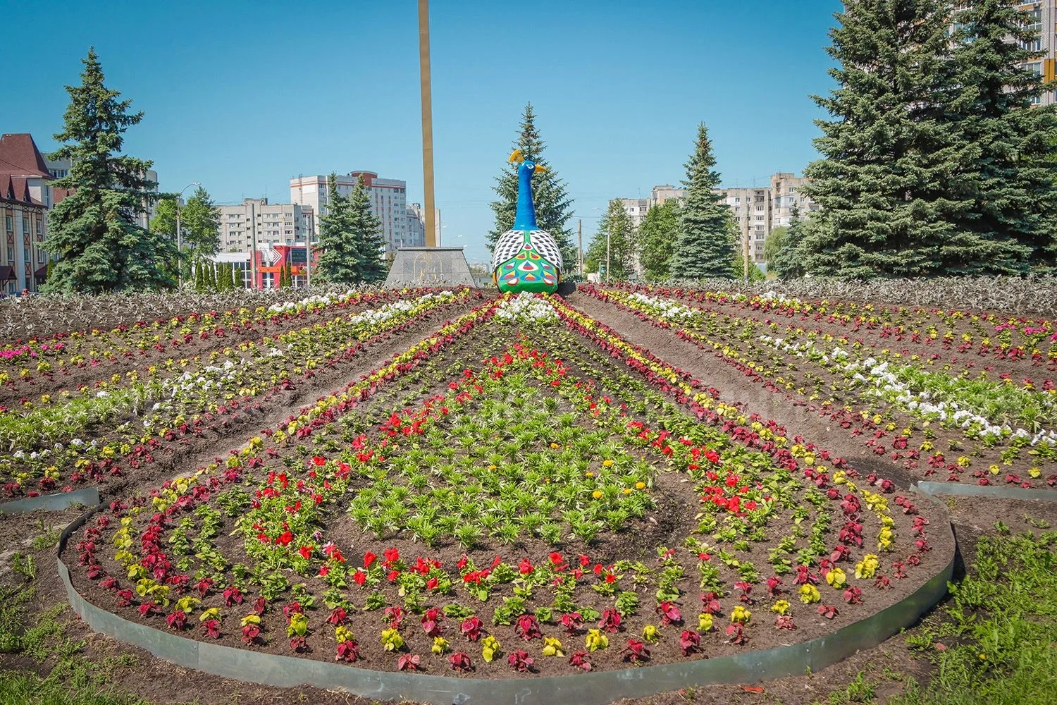 При въезде в г. Брянск появилась цветущая Жар-птица