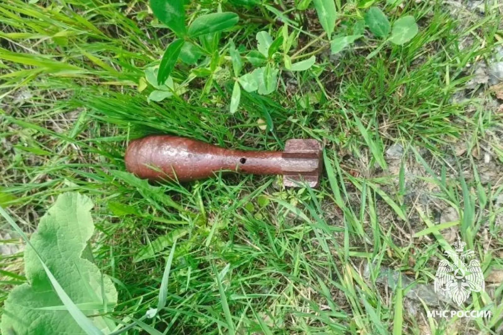В Брянске успешно нейтрализована находка эпохи ВОВ