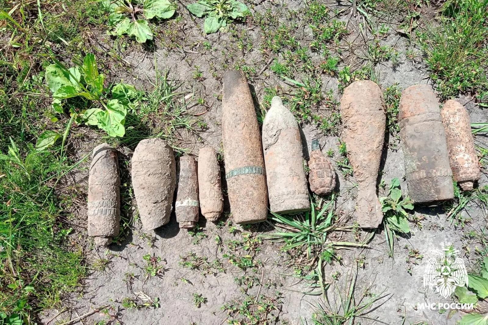 10 опасных находок: под Комаричами нейтрализовали старые боеприпасы
