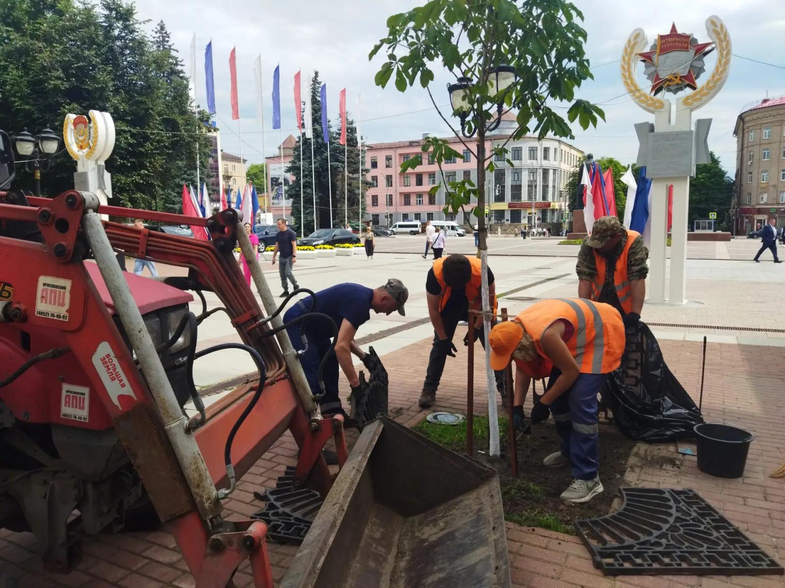 В Советском районе Брянска... пропололи деревья