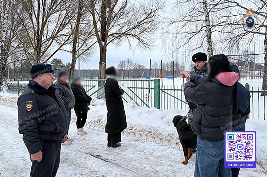 Юная жительница Тверской области получила наказание за попытку распространения наркотиков в Брянске