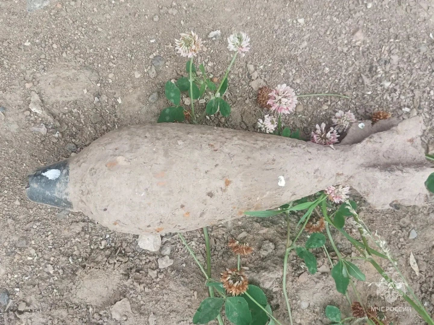 В двух районах Брянщины обезврежены старые боеприпасы